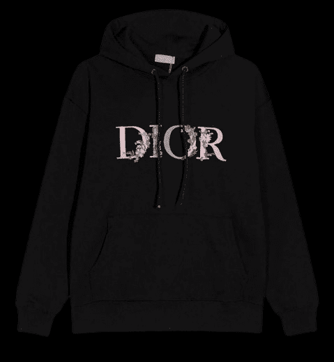 FELPA DIOR 2025