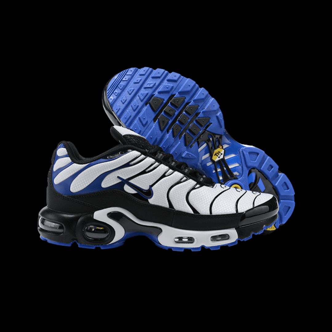 nike air max plus 2025