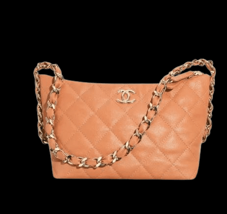 HOBO BAG 2025