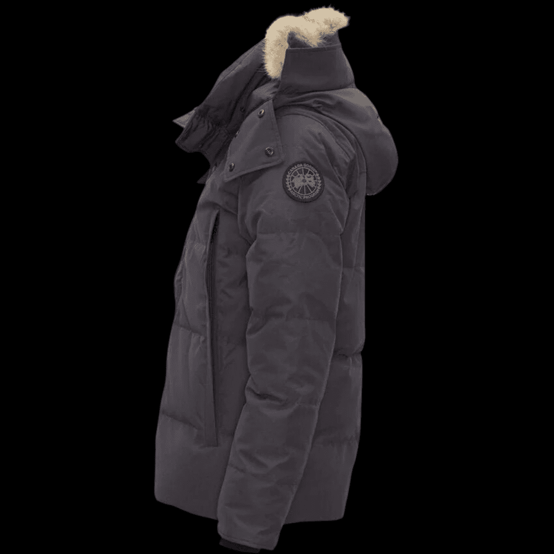 G-canada goose 2025