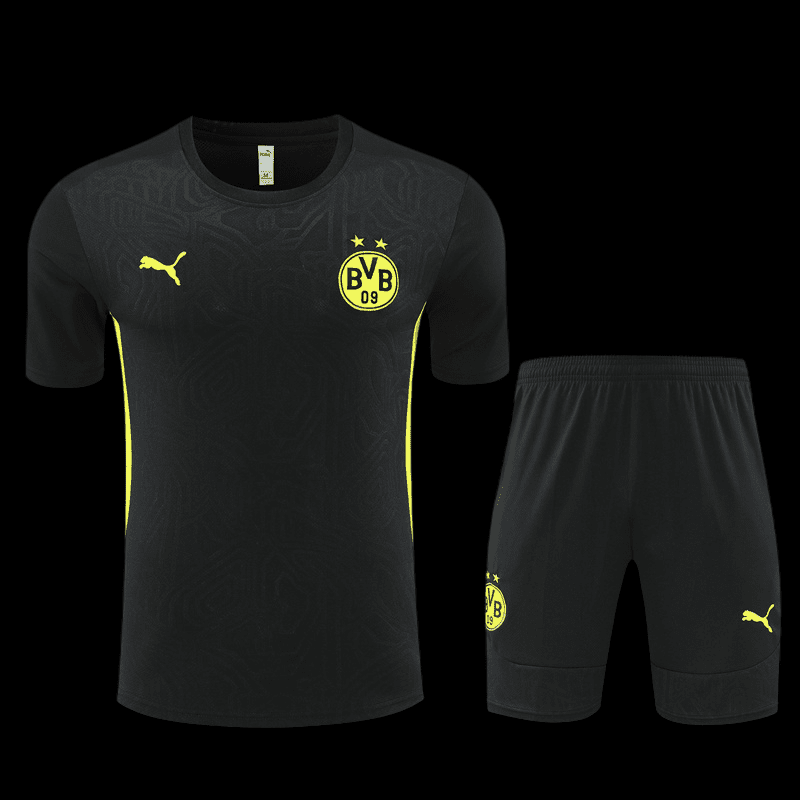 Borussia Dortmund C.F 2025