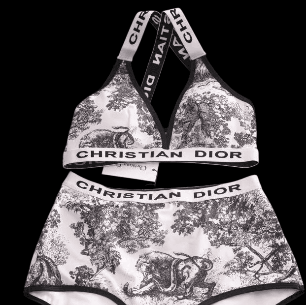 BIKINI - Dior 2025